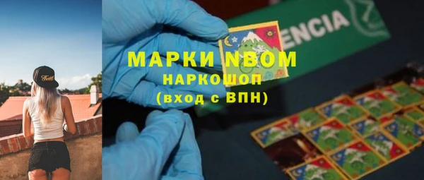 гашик Шали