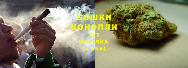 стаф Михайловск