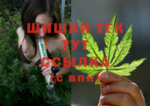 стафф Вязьма