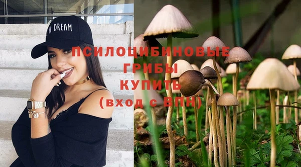 ПСИЛОЦИБИНОВЫЕ ГРИБЫ Навашино