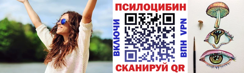 наркотики  darknet Telegram  Галлюциногенные грибы Magic Shrooms  Касли 