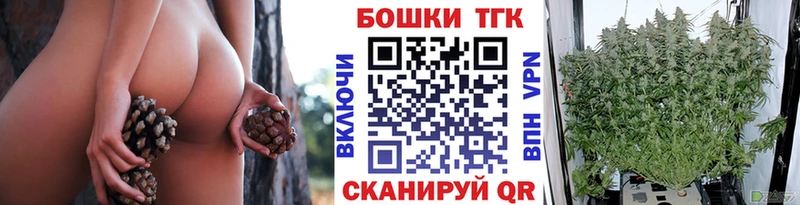 mega ТОР  darknet Telegram  Бошки Шишки SATIVA & INDICA  Касли 